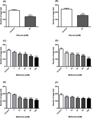 The combination of metformin and high glucose increased longevity of Caenorhabditis elegans a DAF-16/FOXO-independent manner: cancer/diabetic model via C. elegans